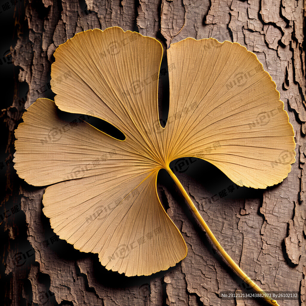 底纹树皮纹 上花银杏叶