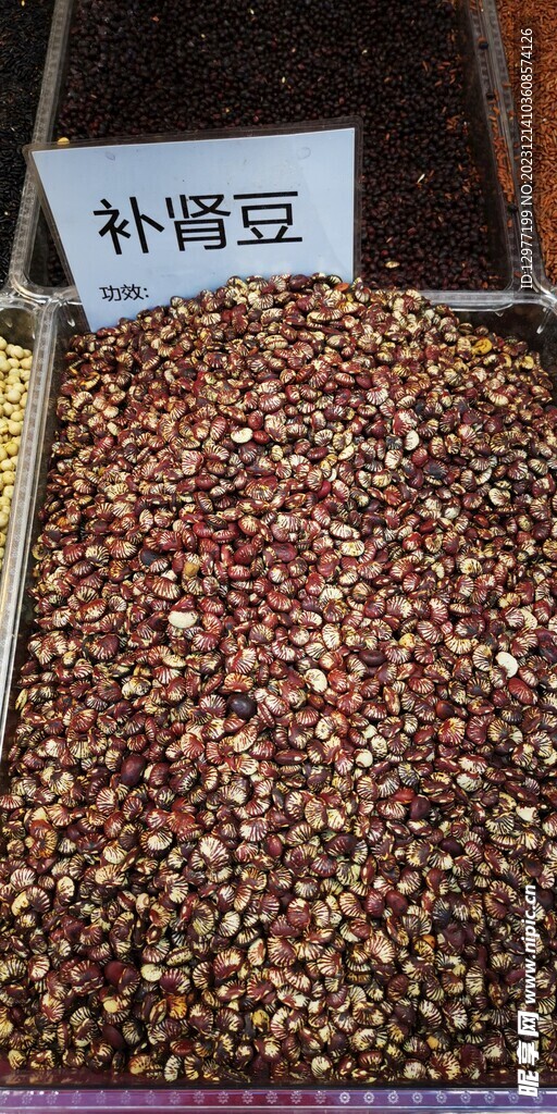 补肾豆