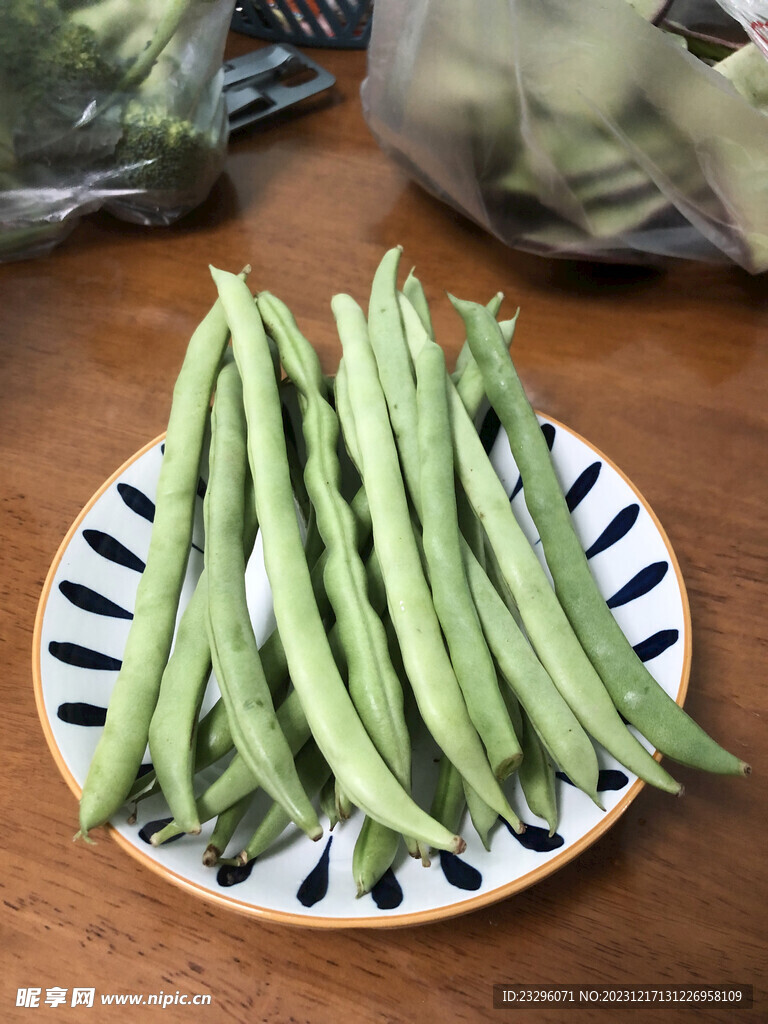 四季豆 菜豆