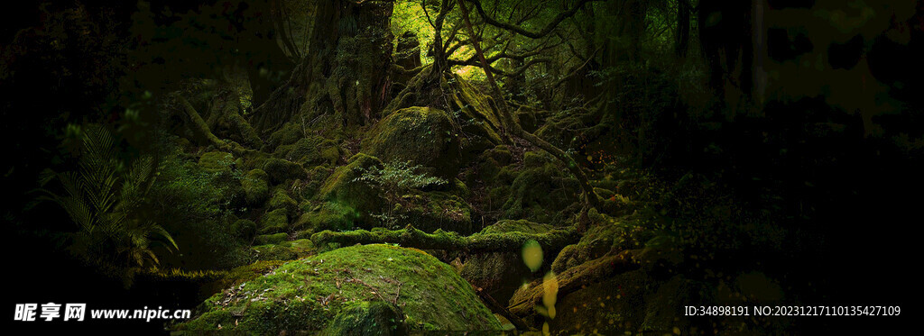 森系婚礼背景图片