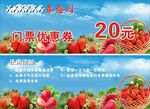 草莓卡券