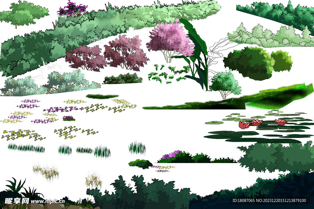 手绘园林植物及配景