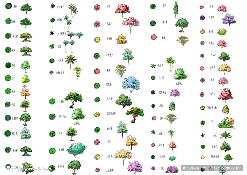 手绘园林植物及配景