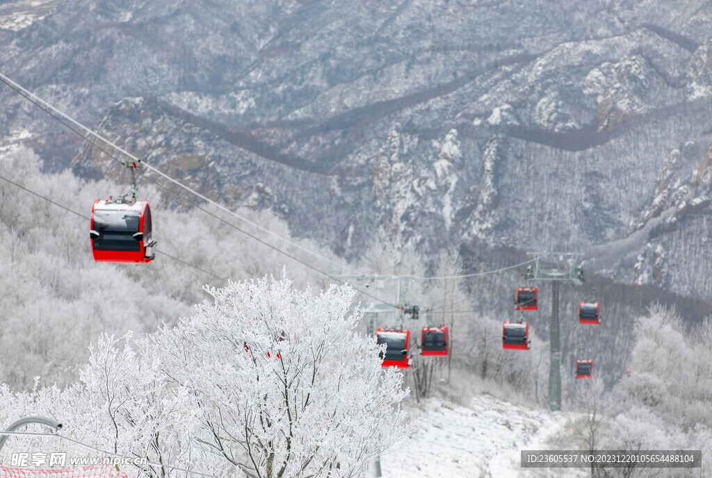 雾凇缆车
