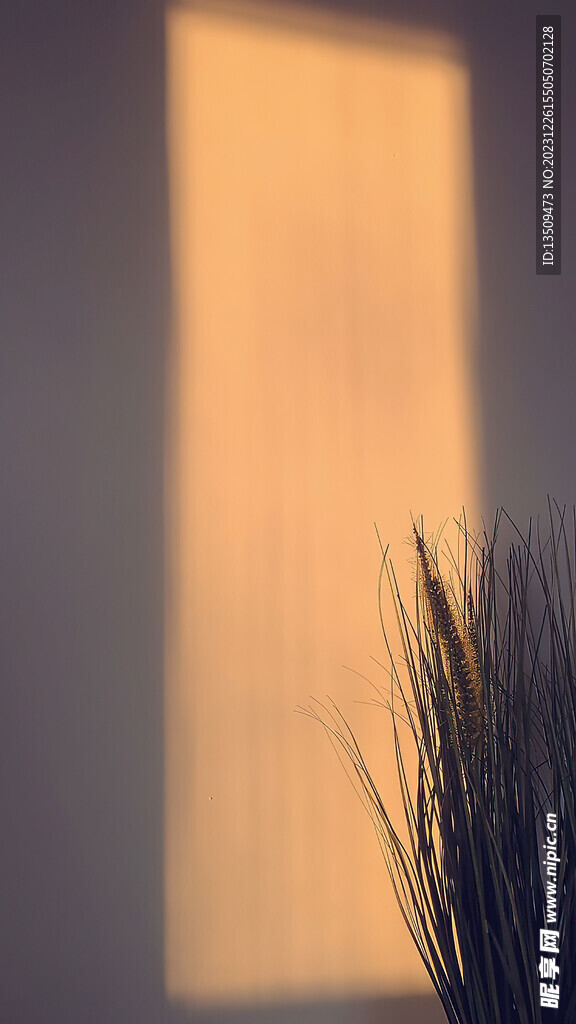 直播室内背景图