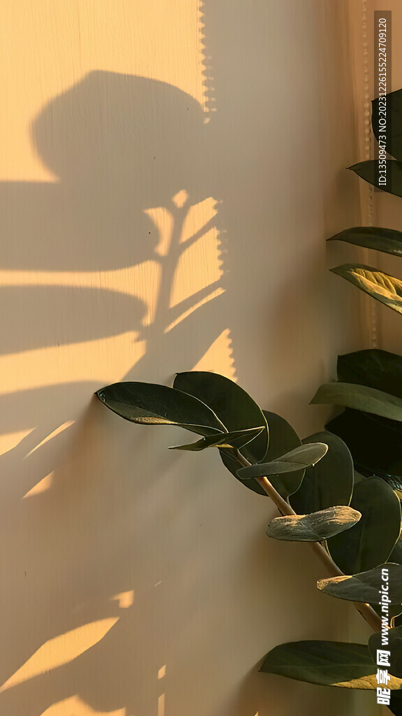 室内直播背景图