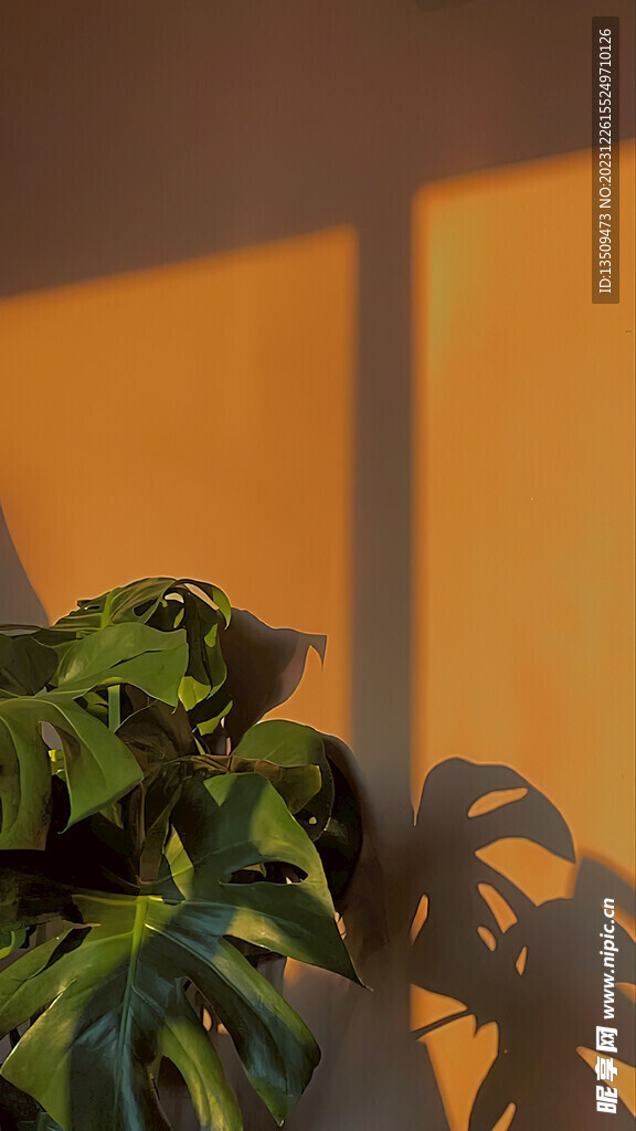 直播室内背景图