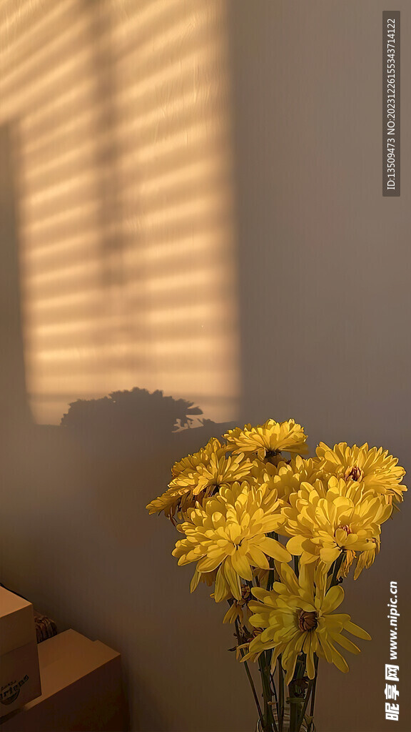 直播室内背景图