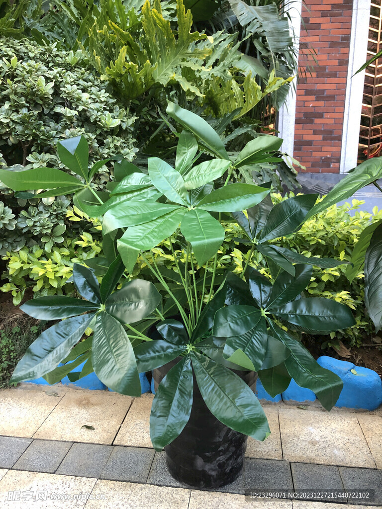 装饰塑料花八角金盘