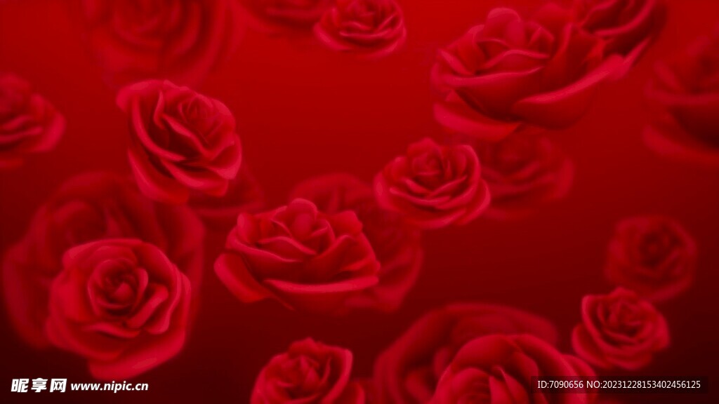 浪漫唯美红玫瑰背景