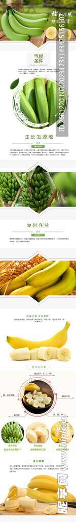 樟州水果香蕉详情页