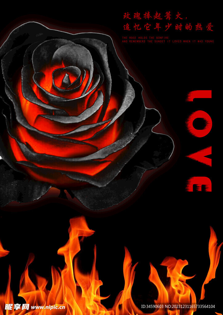 燃烧玫瑰海报