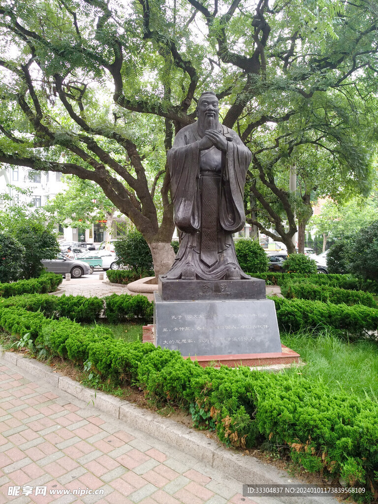 孔子雕像 怪树