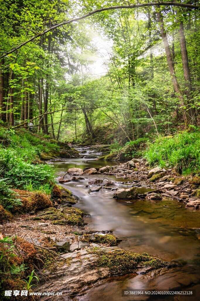 山涧溪水图片