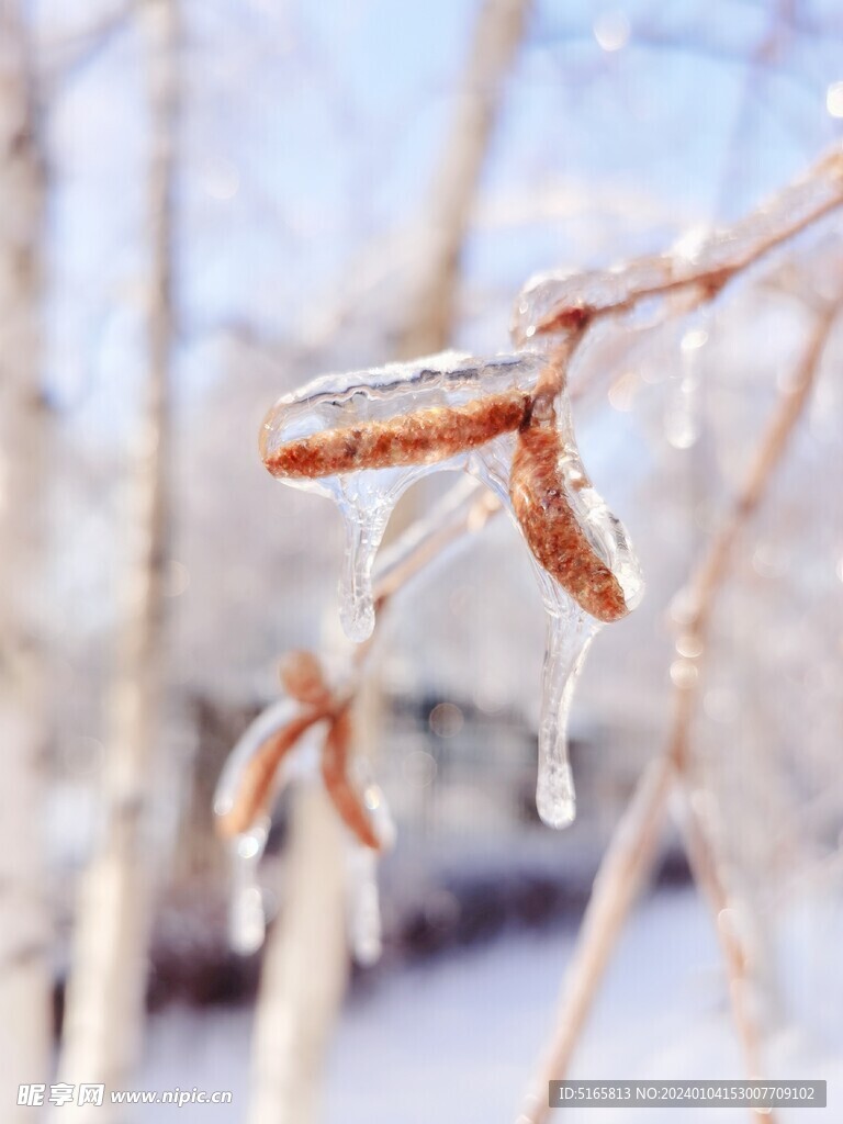 冬季雪景