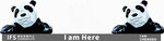 IFS 熊猫