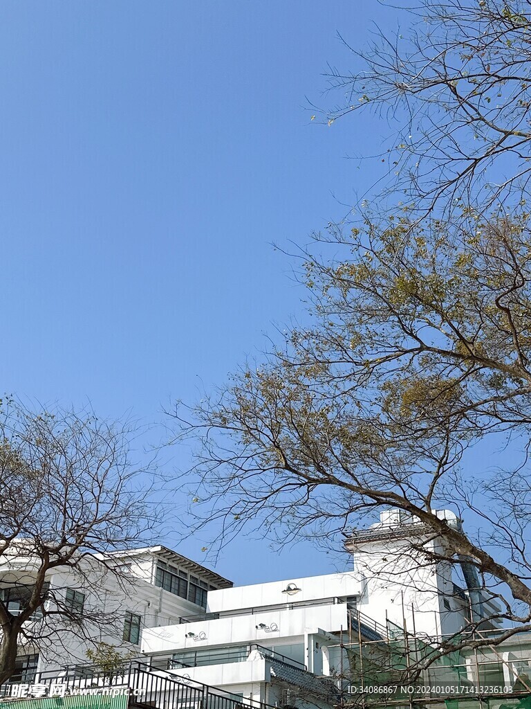 自然风景 蓝天  冬季