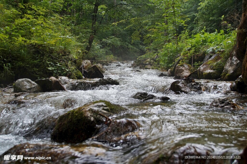 小溪图片