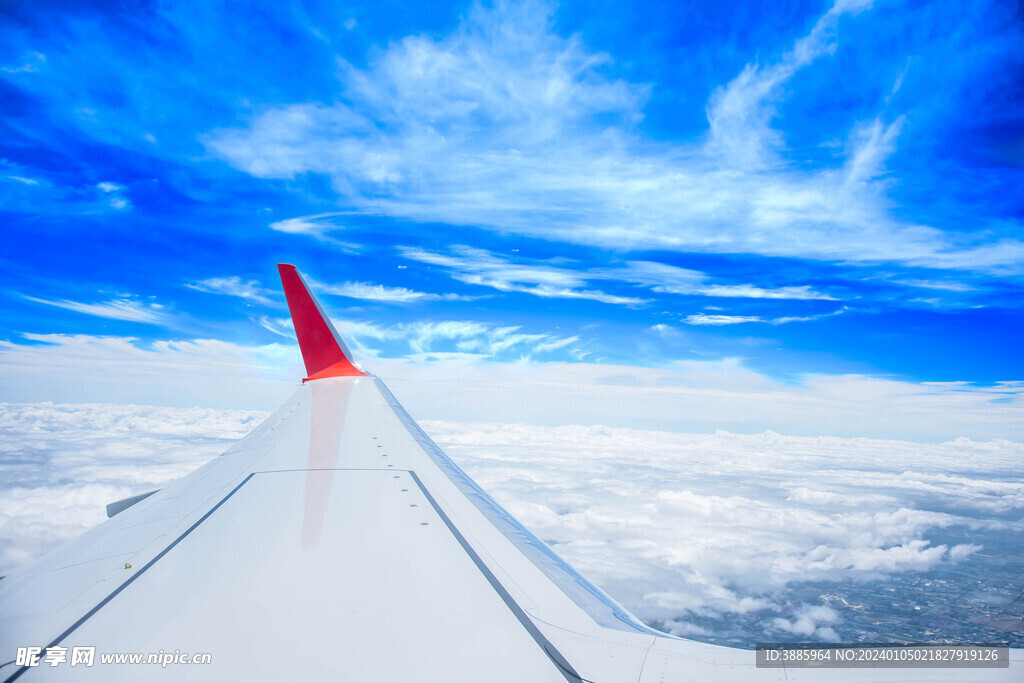 飞机翼图片