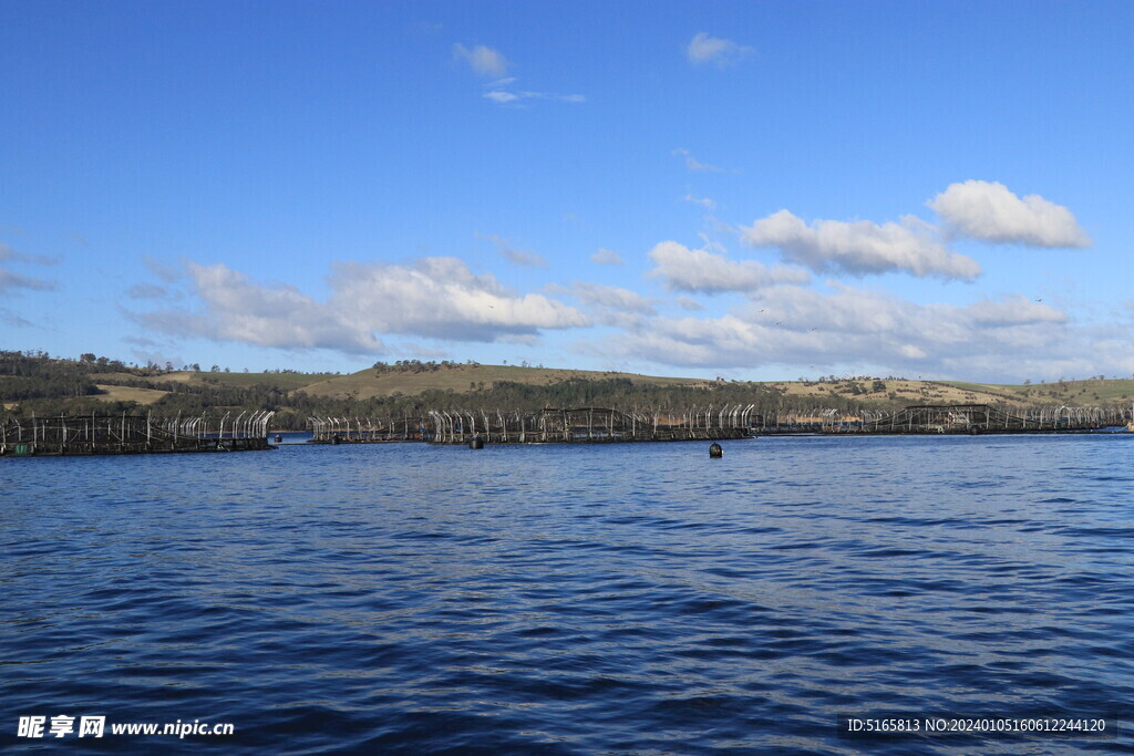  三文鱼养殖基地