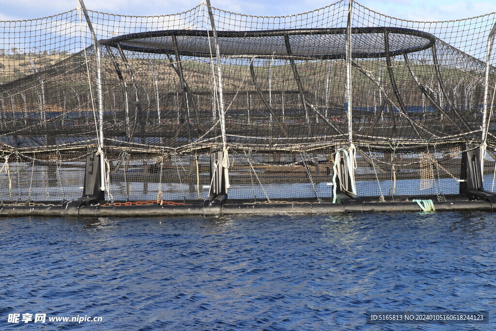 三文鱼养殖基地