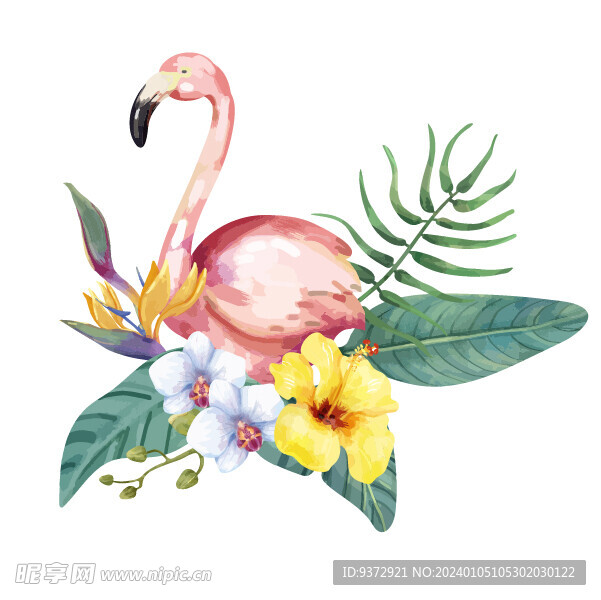 矢量水彩火烈鸟插画