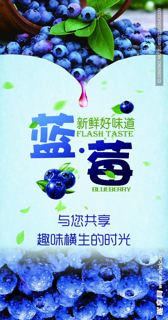 蓝莓宣传海报