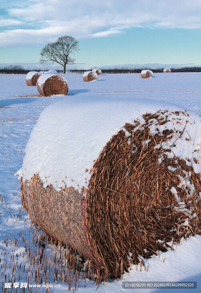 雪地草堆图片