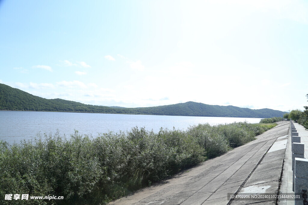 北方 河流 森林 天空 道路