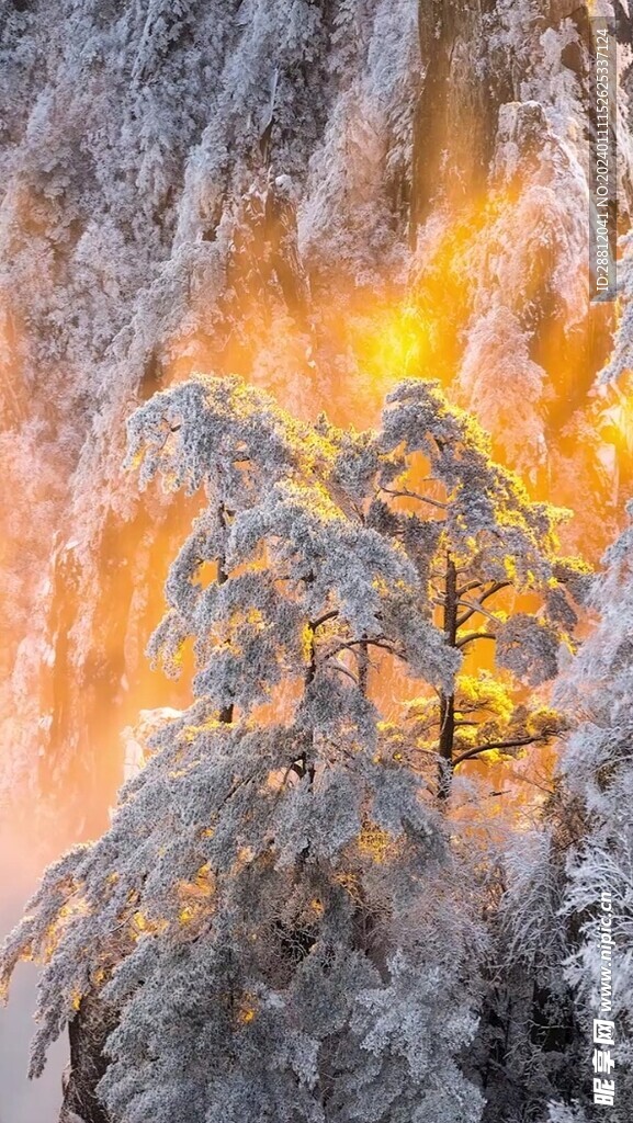 唯美风景高清拍摄竖屏素材