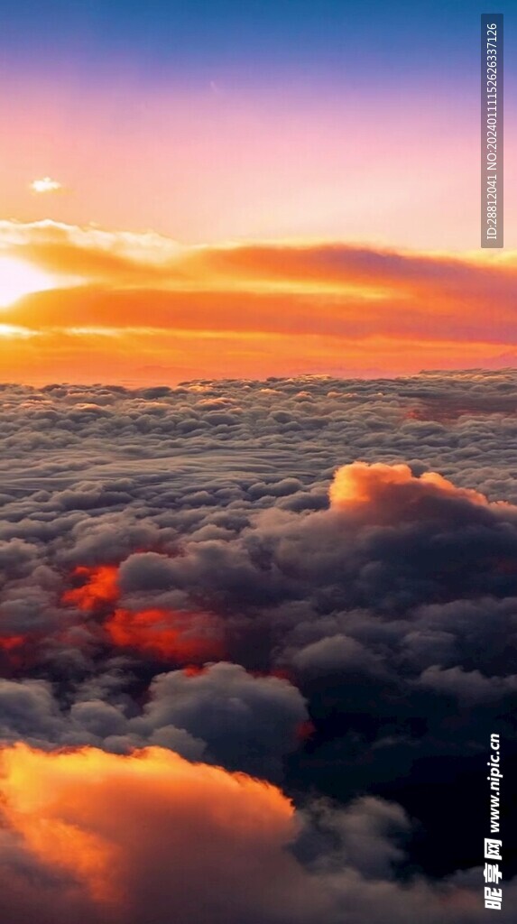 唯美风景高清拍摄竖屏素材