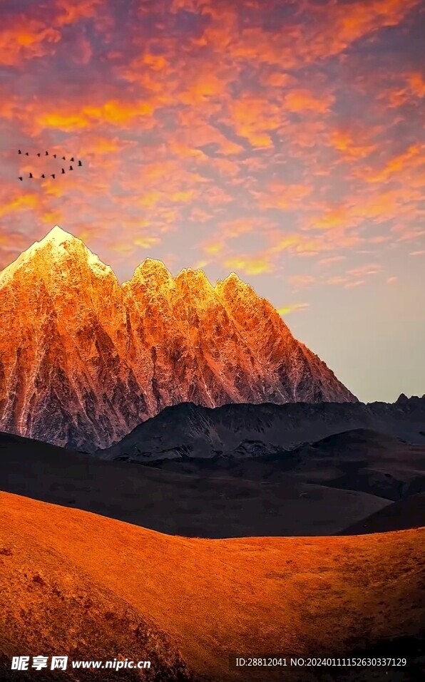 唯美风景高清拍摄竖屏素材