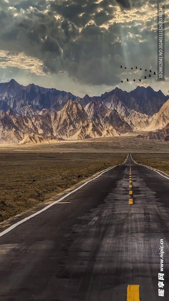 唯美风景高清拍摄竖屏素材