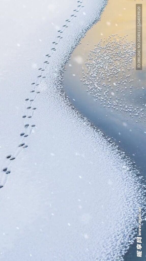 唯美风景高清拍摄竖屏素材