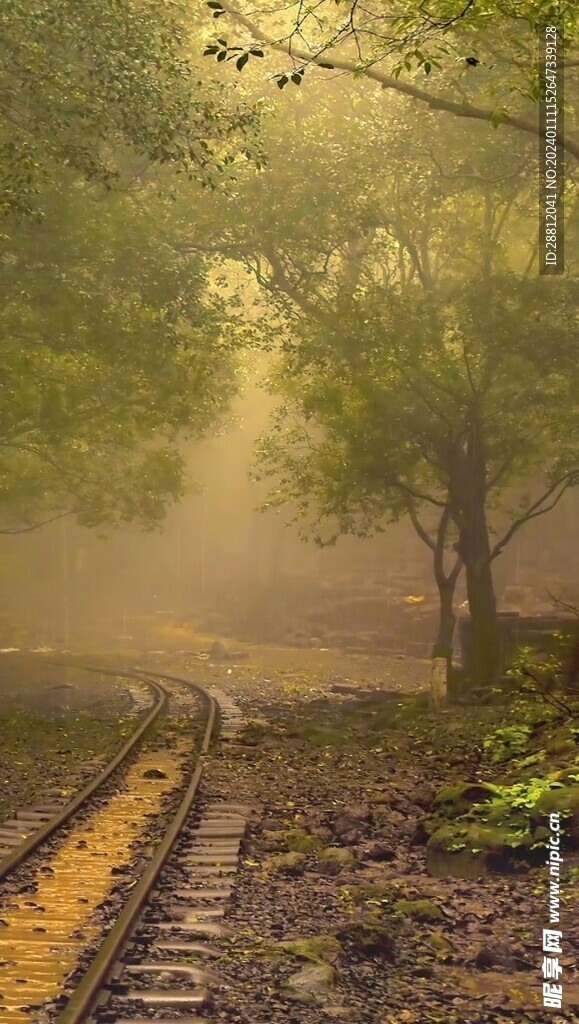 唯美风景高清拍摄竖屏素材