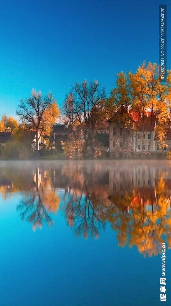 唯美风景高清拍摄竖屏素材