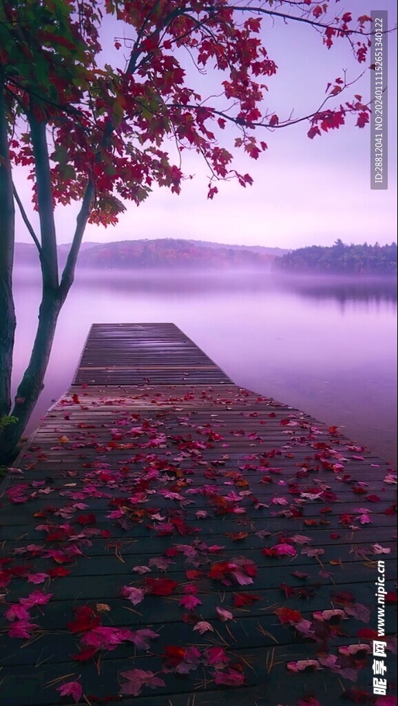 唯美风景高清拍摄竖屏素材