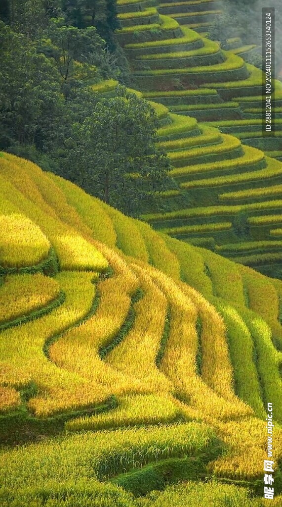 唯美风景高清拍摄竖屏素材