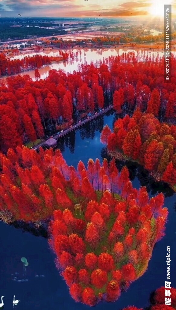 唯美风景高清拍摄竖屏素材