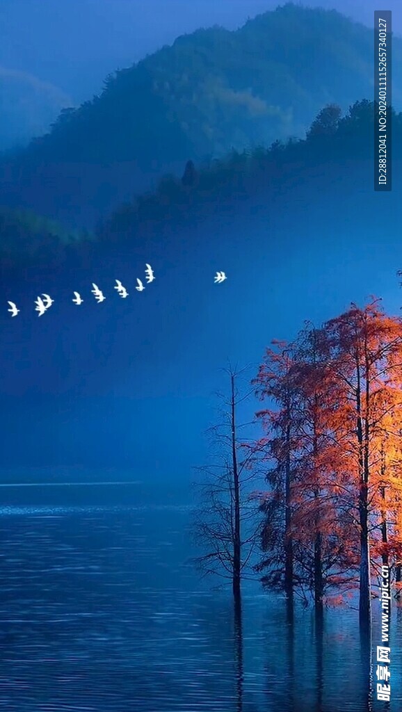 唯美风景高清拍摄竖屏素材