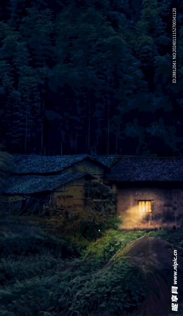 唯美风景高清拍摄竖屏素材