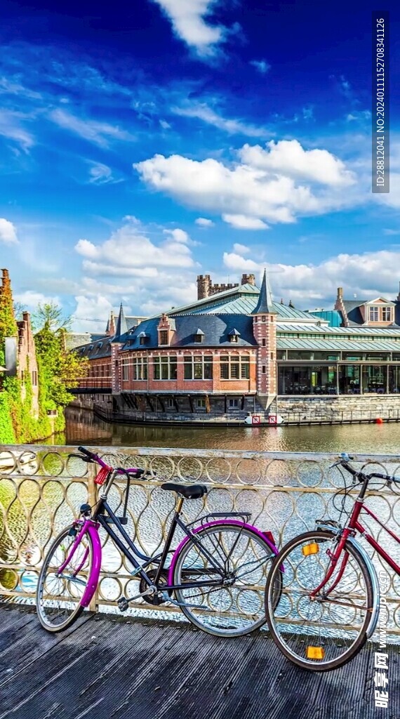 唯美风景高清拍摄竖屏素材