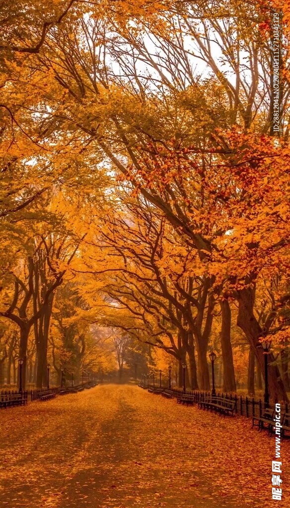 唯美风景高清拍摄竖屏素材