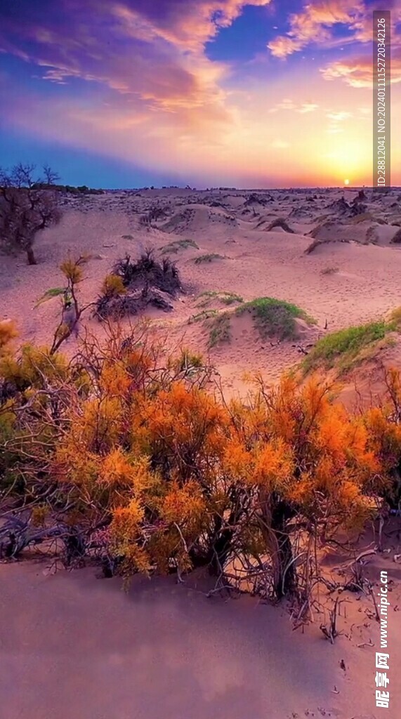 唯美风景高清拍摄竖屏素材