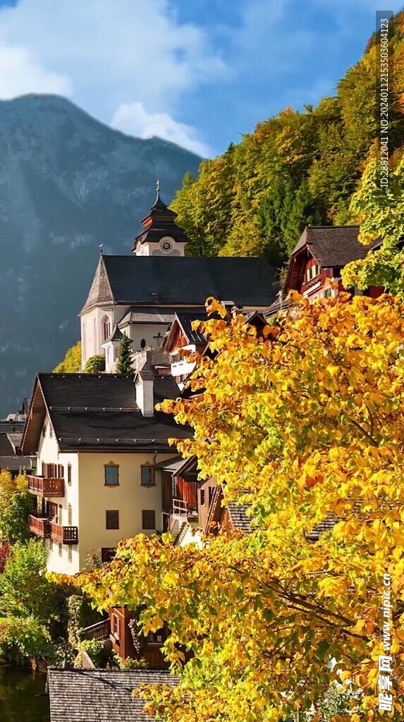 高清唯美风景拍摄竖屏素材