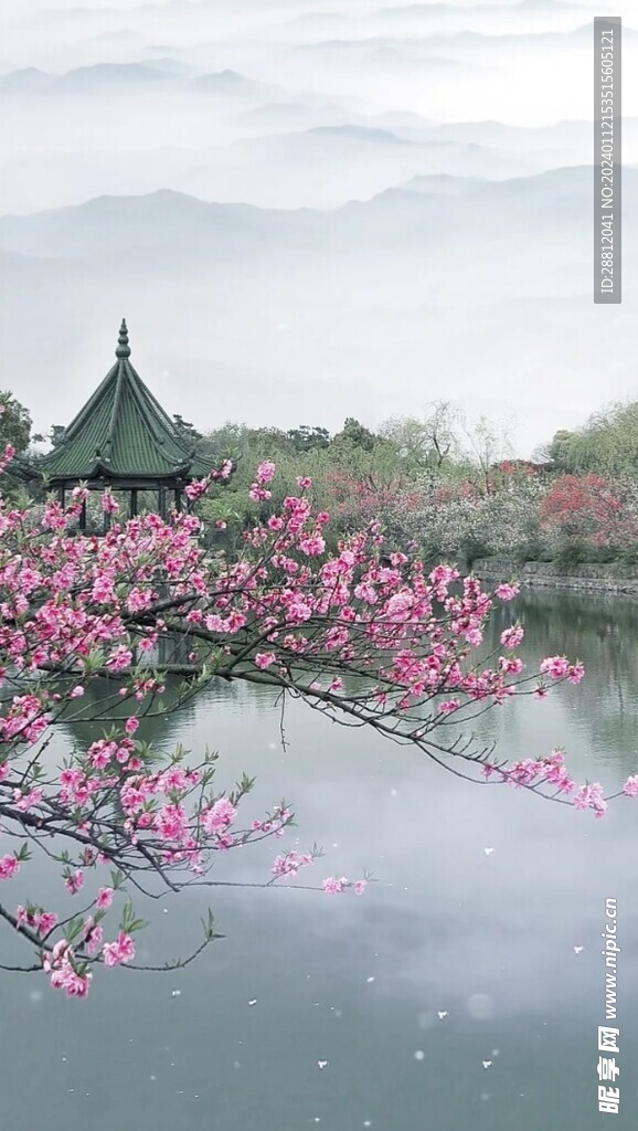 高清唯美风景拍摄竖屏素材