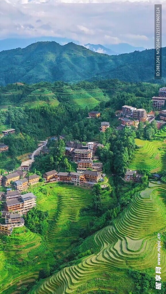 高清唯美风景拍摄竖屏素材