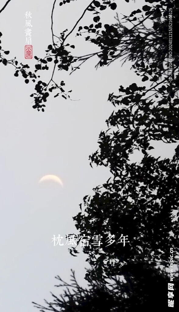 高清唯美风景拍摄竖屏素材