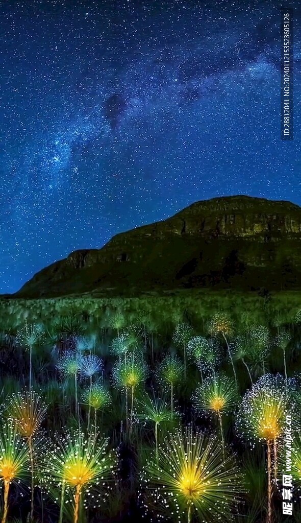 高清唯美风景拍摄竖屏素材