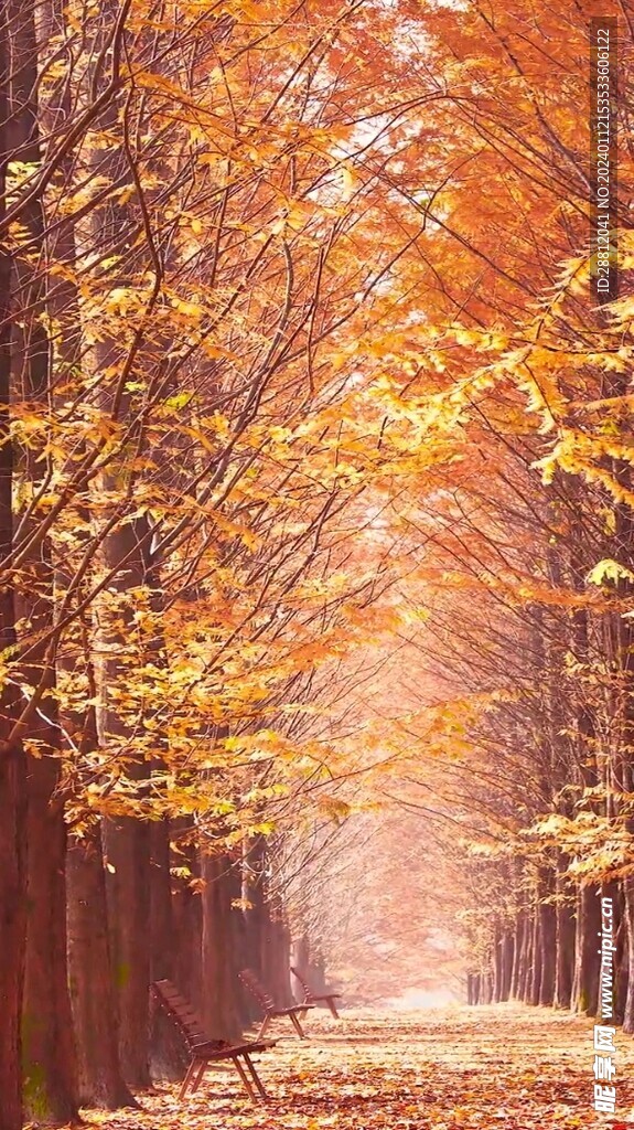 高清唯美风景拍摄竖屏素材